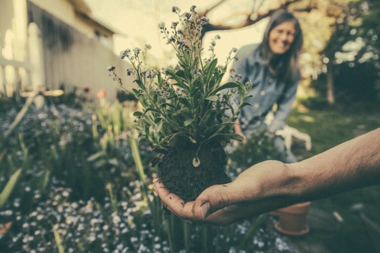 Gardening. Woman in the background, hand holding a plant in the foreground.