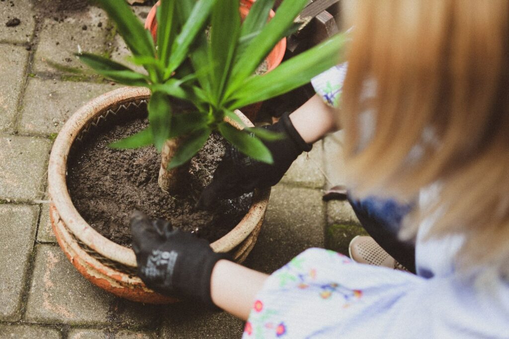 gardening -- woman putting a plant into a pot