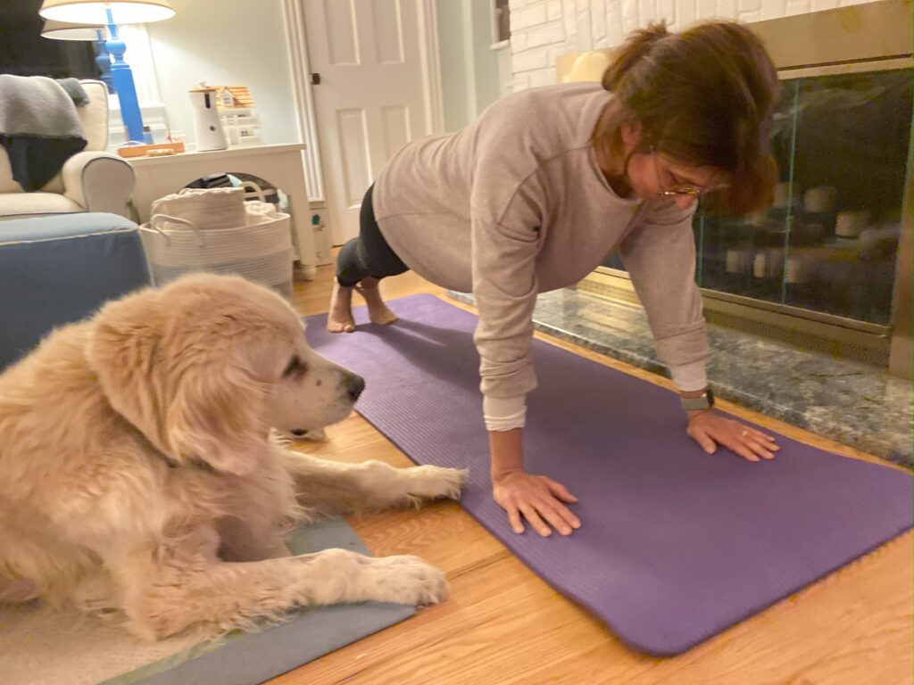 Janice doing yoga while her golden retriever Joey watches