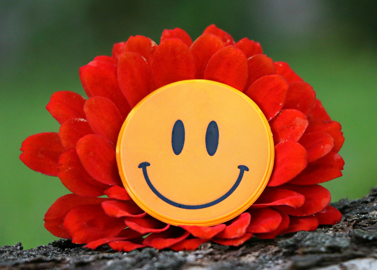 red flower with a yellow smiley face in the center